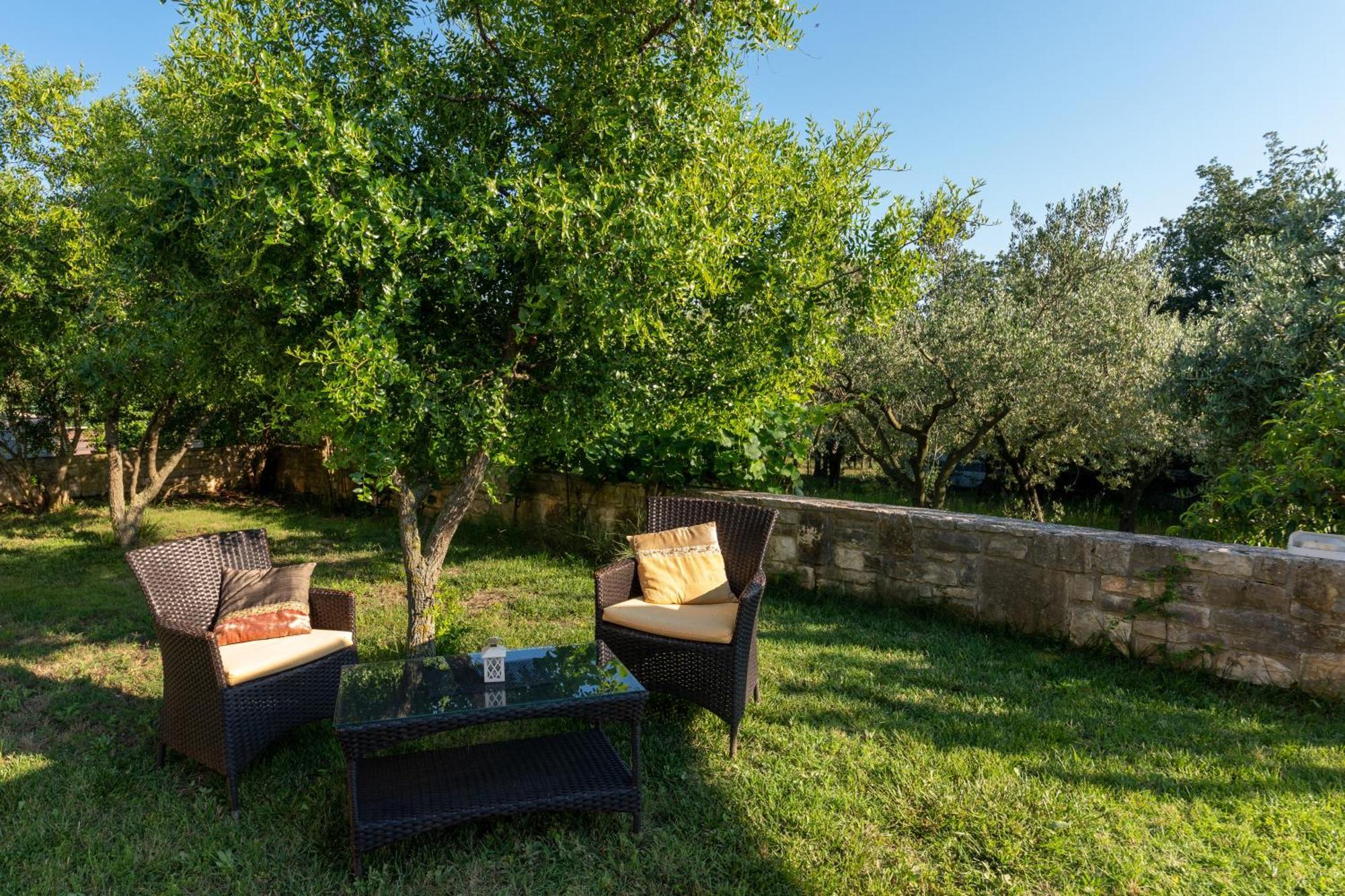 Guesthouse "Barboska" - Big Outdoor Swimming Pool & Private Tennis Court Vodnjan Exterior photo